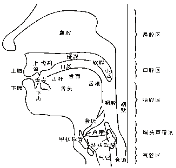 pagenumber_ebook=8,pagenumber_book=1 发音器官纵侧面示意图