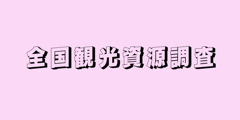 全国観光資源調査