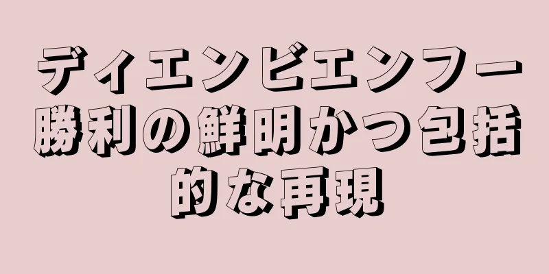 ディエンビエンフー勝利の鮮明かつ包括的な再現