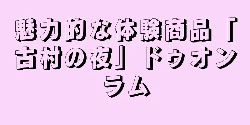 魅力的な体験商品「古村の夜」ドゥオンラム