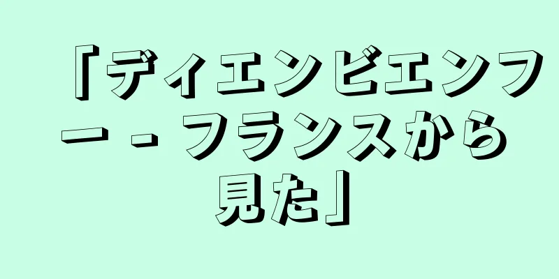 「ディエンビエンフー - フランスから見た」