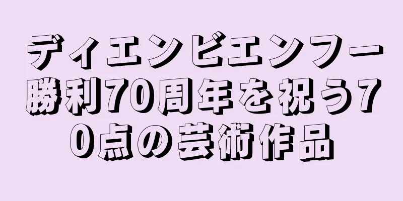 ディエンビエンフー勝利70周年を祝う70点の芸術作品
