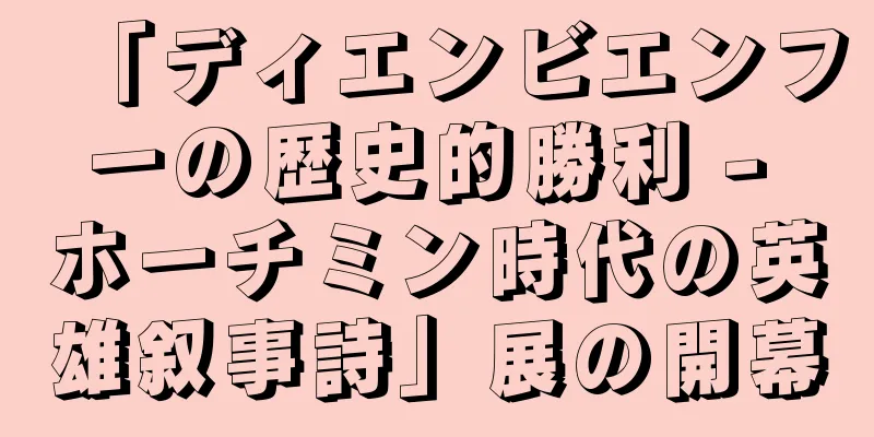 「ディエンビエンフーの歴史的勝利 - ホーチミン時代の英雄叙事詩」展の開幕