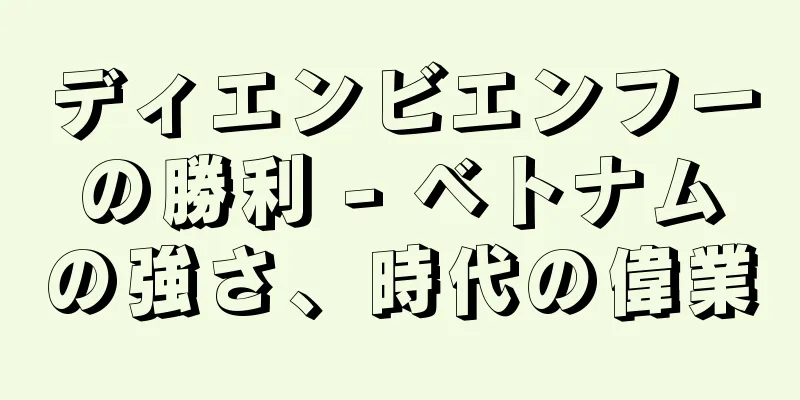 ディエンビエンフーの勝利 - ベトナムの強さ、時代の偉業