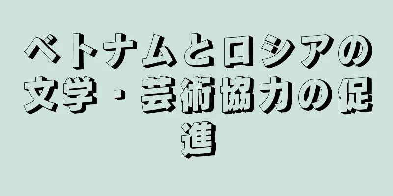 ベトナムとロシアの文学・芸術協力の促進