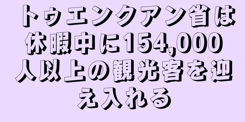 トゥエンクアン省は休暇中に154,000人以上の観光客を迎え入れる