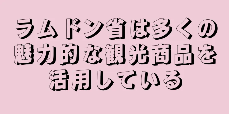 ラムドン省は多くの魅力的な観光商品を活用している