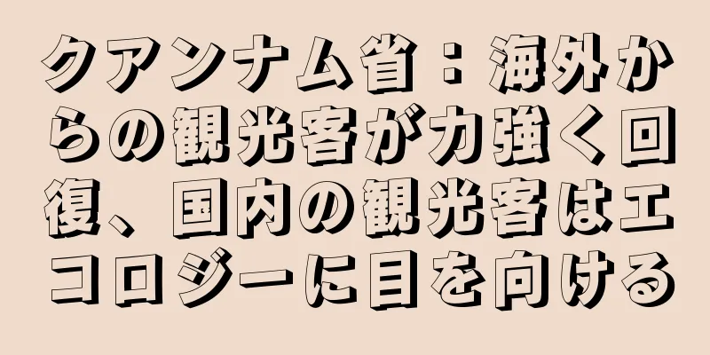 クアンナム省：海外からの観光客が力強く回復、国内の観光客はエコロジーに目を向ける
