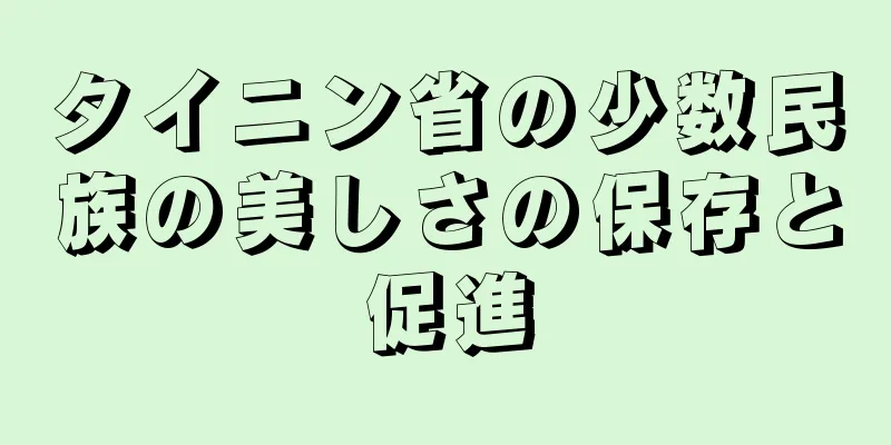 タイニン省の少数民族の美しさの保存と促進