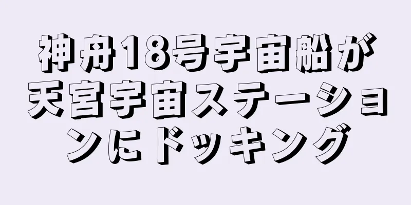 神舟18号宇宙船が天宮宇宙ステーションにドッキング