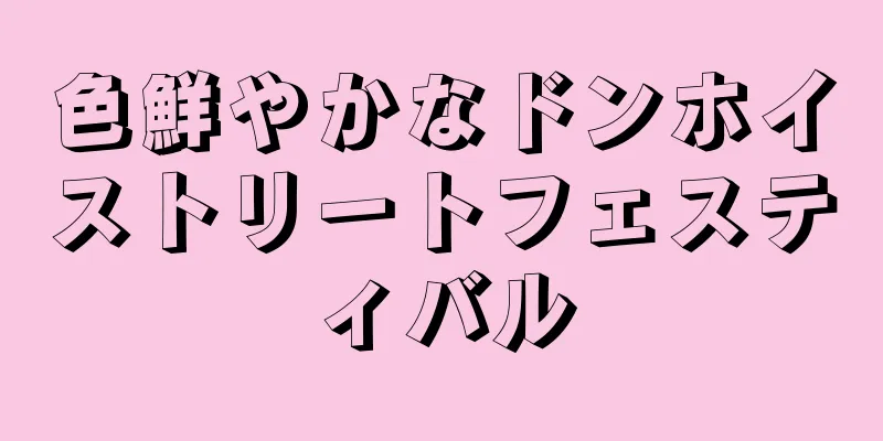 色鮮やかなドンホイストリートフェスティバル