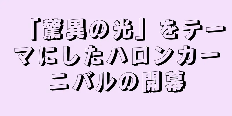 「驚異の光」をテーマにしたハロンカーニバルの開幕