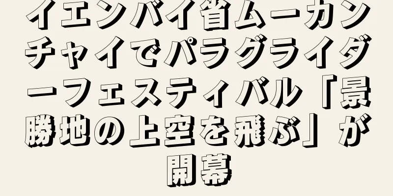 イエンバイ省ムーカンチャイでパラグライダーフェスティバル「景勝地の上空を飛ぶ」が開幕