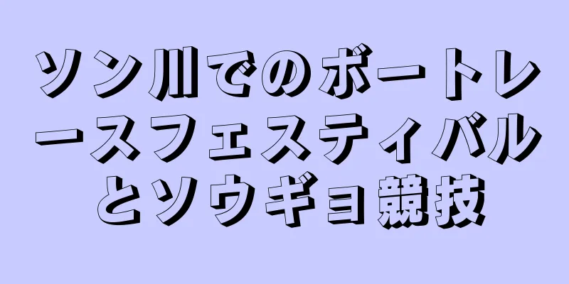 ソン川でのボートレースフェスティバルとソウギョ競技