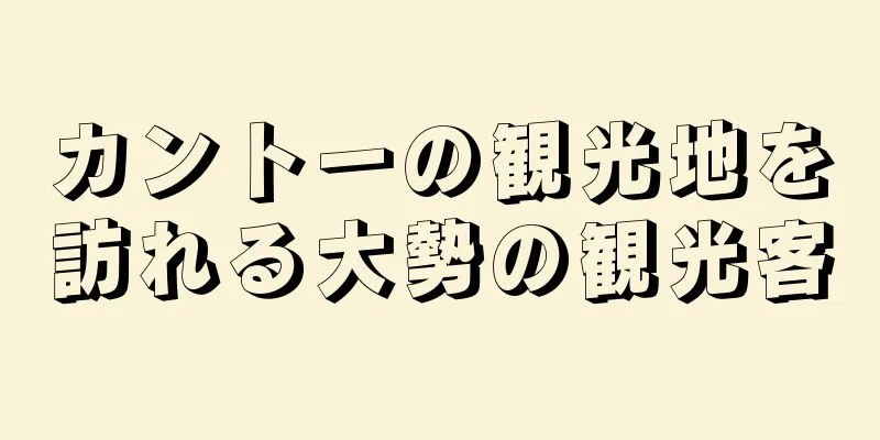カントーの観光地を訪れる大勢の観光客