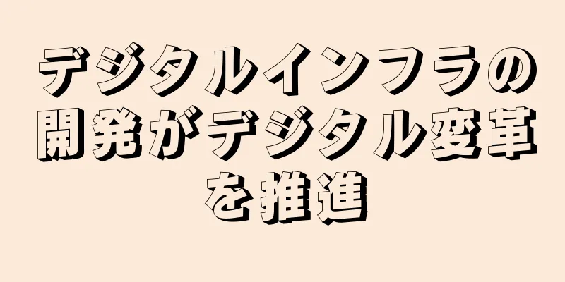 デジタルインフラの開発がデジタル変革を推進