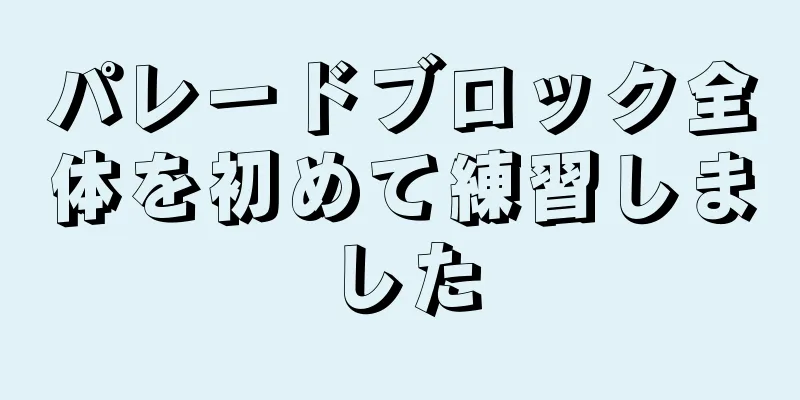 パレードブロック全体を初めて練習しました