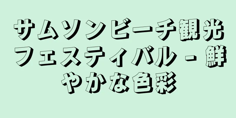 サムソンビーチ観光フェスティバル - 鮮やかな色彩