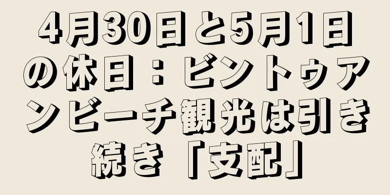 4月30日と5月1日の休日：ビントゥアンビーチ観光は引き続き「支配」