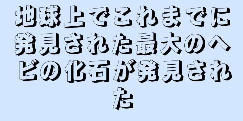 地球上でこれまでに発見された最大のヘビの化石が発見された