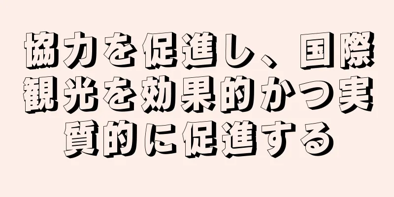 協力を促進し、国際観光を効果的かつ実質的に促進する