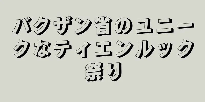 バクザン省のユニークなティエンルック祭り