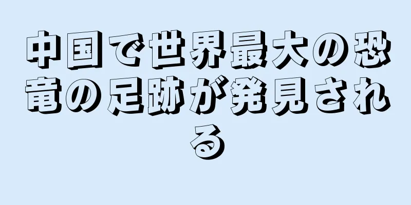 中国で世界最大の恐竜の足跡が発見される