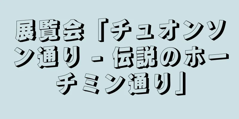 展覧会「チュオンソン通り - 伝説のホーチミン通り」