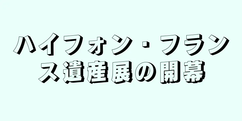 ハイフォン・フランス遺産展の開幕