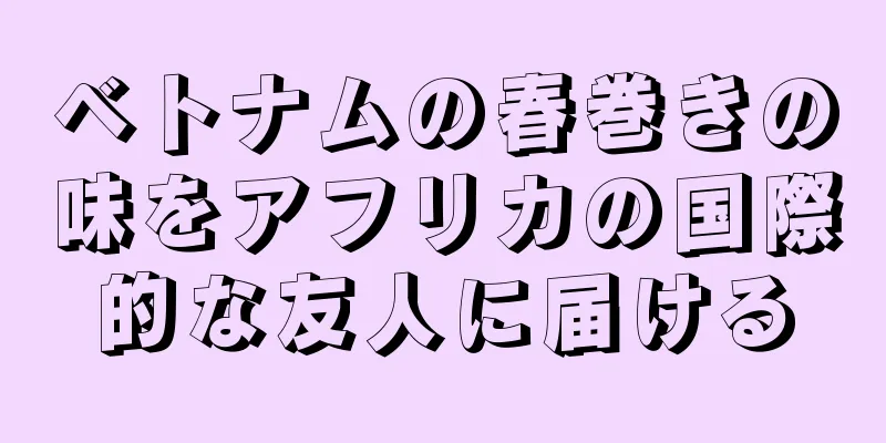ベトナムの春巻きの味をアフリカの国際的な友人に届ける