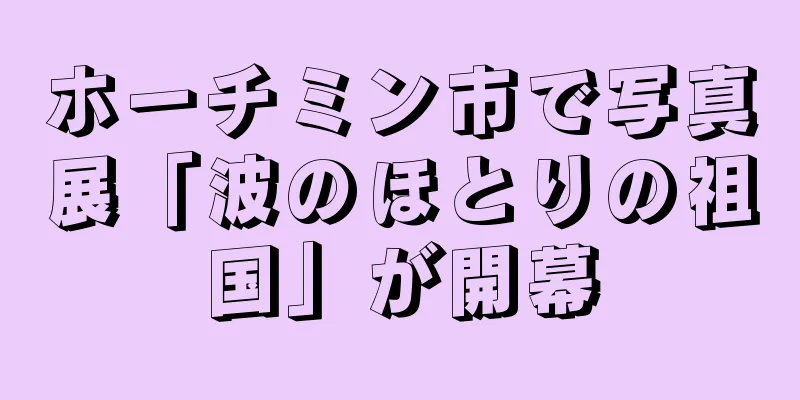 ホーチミン市で写真展「波のほとりの祖国」が開幕