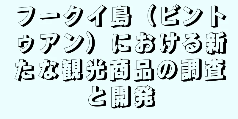 フークイ島（ビントゥアン）における新たな観光商品の調査と開発