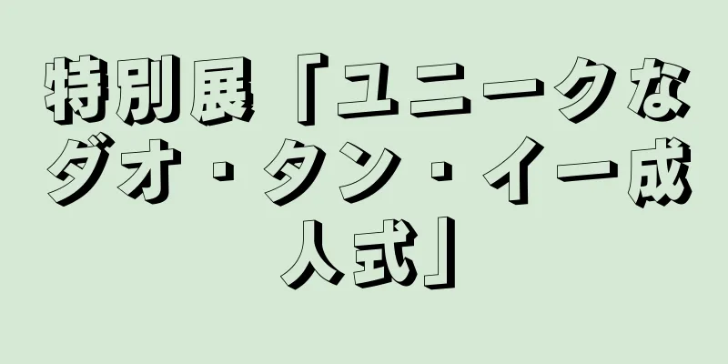 特別展「ユニークなダオ・タン・イー成人式」