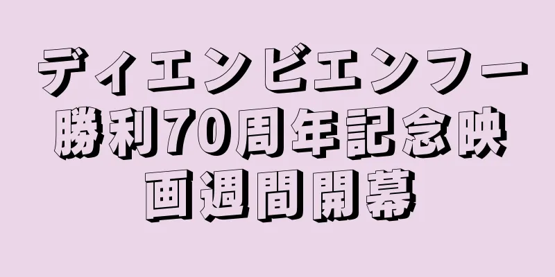 ディエンビエンフー勝利70周年記念映画週間開幕
