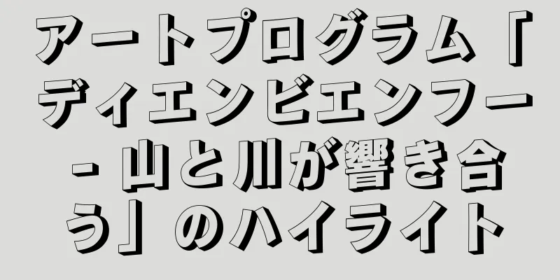 アートプログラム「ディエンビエンフー - 山と川が響き合う」のハイライト