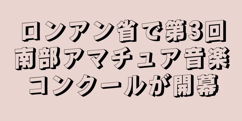 ロンアン省で第3回南部アマチュア音楽コンクールが開幕