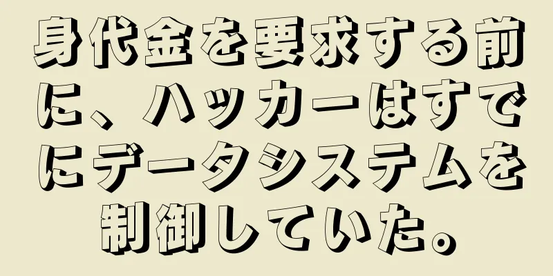 身代金を要求する前に、ハッカーはすでにデータシステムを制御していた。
