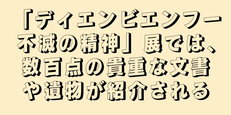 「ディエンビエンフー 不滅の精神」展では、数百点の貴重な文書や遺物が紹介される