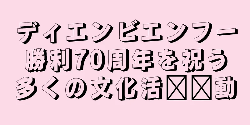ディエンビエンフー勝利70周年を祝う多くの文化活​​動