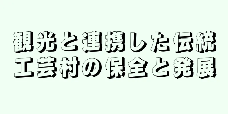観光と連携した伝統工芸村の保全と発展