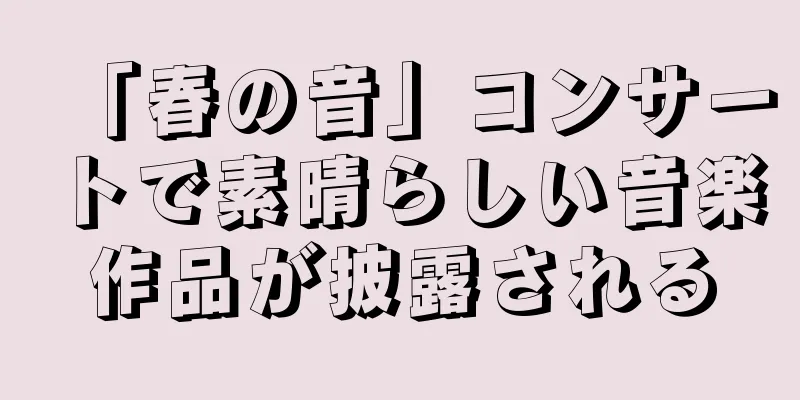 「春の音」コンサートで素晴らしい音楽作品が披露される