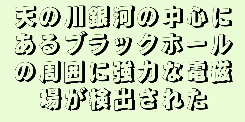 天の川銀河の中心にあるブラックホールの周囲に強力な電磁場が検出された