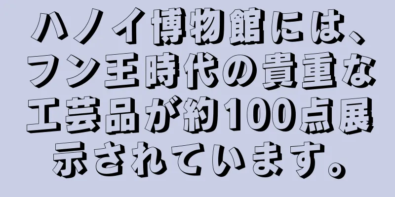 ハノイ博物館には、フン王時代の貴重な工芸品が約100点展示されています。