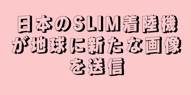日本のSLIM着陸機が地球に新たな画像を送信