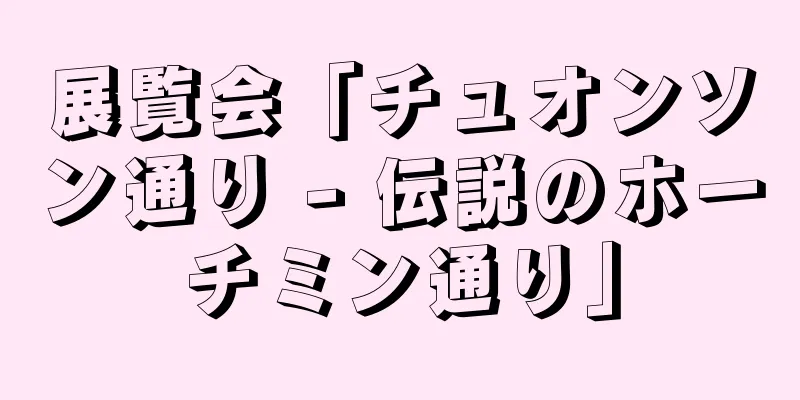 展覧会「チュオンソン通り - 伝説のホーチミン通り」