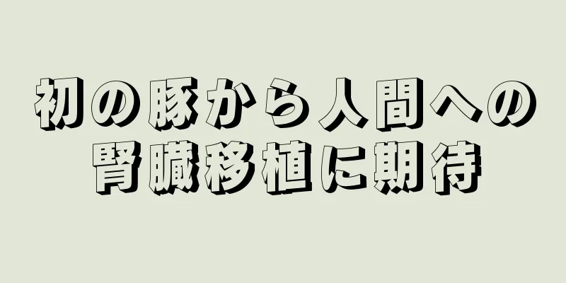 初の豚から人間への腎臓移植に期待