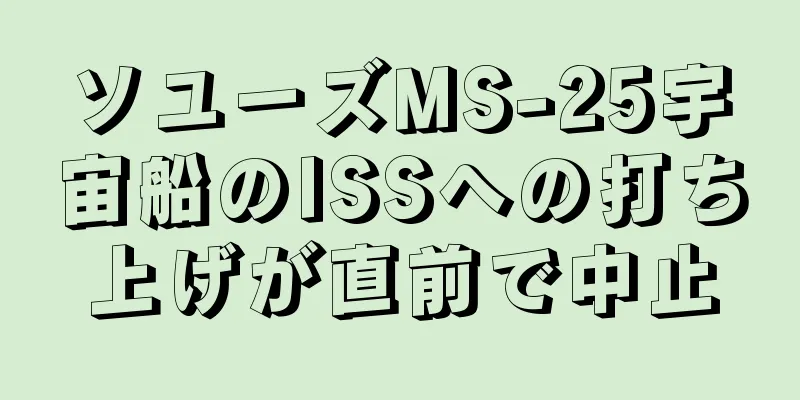 ソユーズMS-25宇宙船のISSへの打ち上げが直前で中止