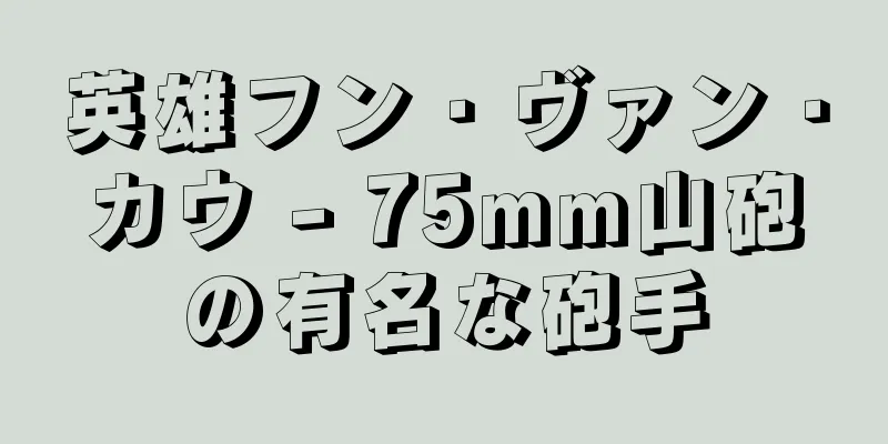 英雄フン・ヴァン・カウ - 75mm山砲の有名な砲手
