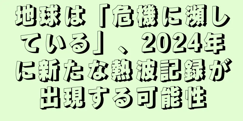 地球は「危機に瀕している」、2024年に新たな熱波記録が出現する可能性
