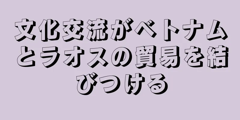 文化交流がベトナムとラオスの貿易を結びつける